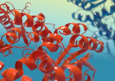 3D ribbon structure of protein domains studied in proteomics research 3D ribbon structure of protein domains studied in proteomics research